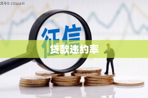 三沙贷款违约率