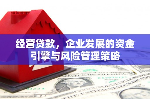 三沙经营贷款，企业发展的资金引擎与风险管理策略