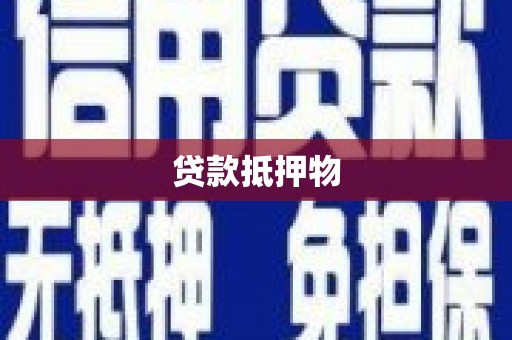 三沙贷款抵押物