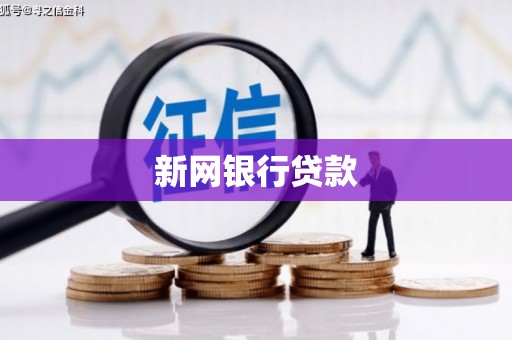 三沙新网银行贷款