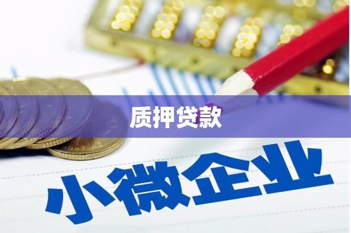 三沙质押贷款