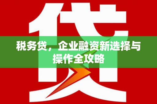 三沙税务贷，企业融资新选择与操作全攻略