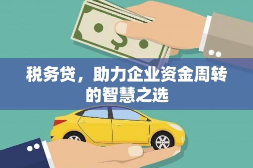 三沙税务贷，助力企业资金周转的智慧之选