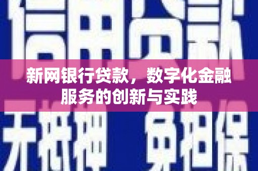 三沙新网银行贷款，数字化金融服务的创新与实践