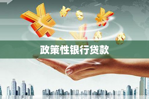 三沙政策性银行贷款