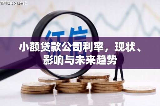 三沙小额贷款公司利率，现状、影响与未来趋势