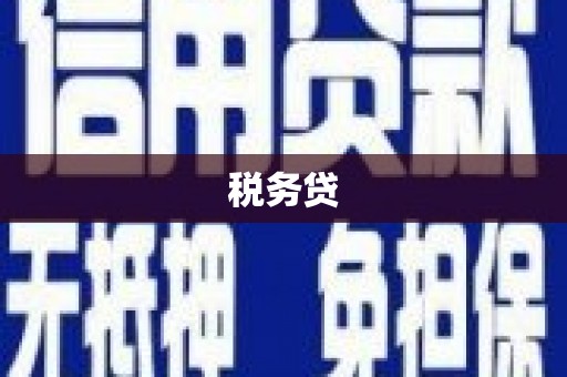 三沙税务贷