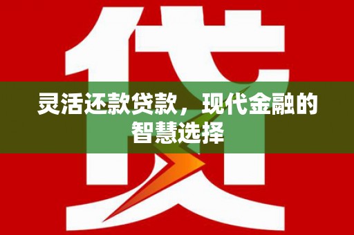 三沙灵活还款贷款，现代金融的智慧选择