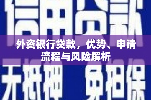 三沙外资银行贷款，优势、申请流程与风险解析