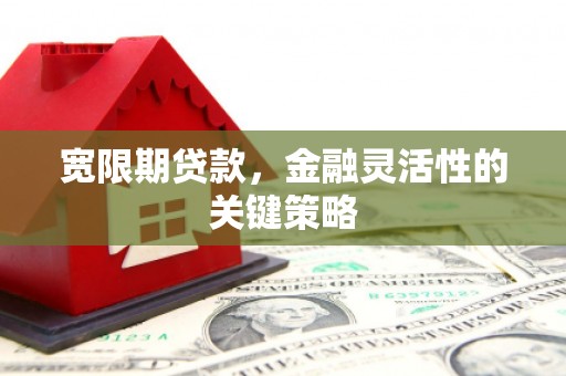 三沙宽限期贷款，金融灵活性的关键策略