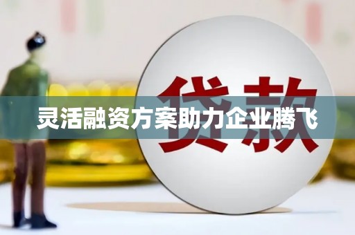 三沙灵活融资方案助力企业腾飞