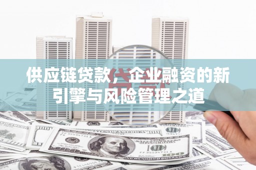 三沙供应链贷款，企业融资的新引擎与风险管理之道