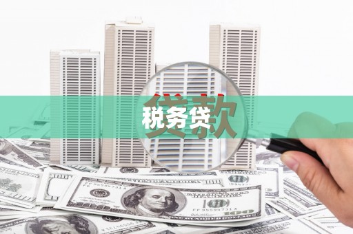 三沙税务贷