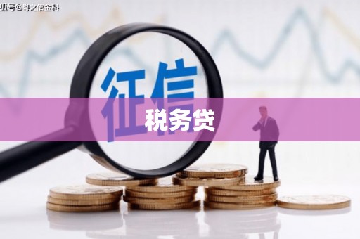 三沙税务贷