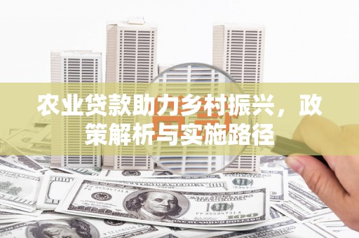 三沙农业贷款助力乡村振兴，政策解析与实施路径