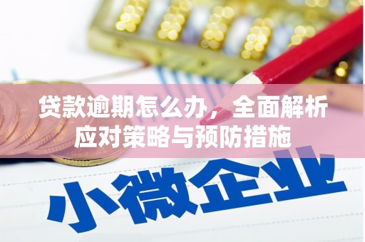 三沙贷款逾期怎么办，全面解析应对策略与预防措施