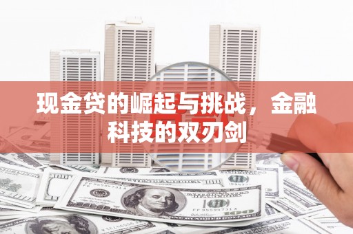 三沙现金贷的崛起与挑战，金融科技的双刃剑