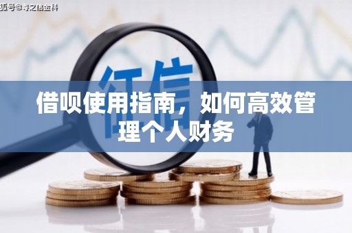 三沙借呗使用指南，如何高效管理个人财务