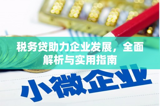 三沙税务贷助力企业发展，全面解析与实用指南