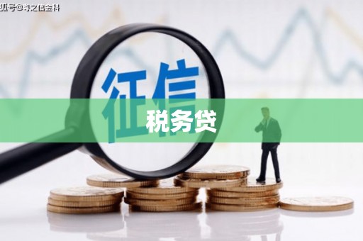 三沙税务贷