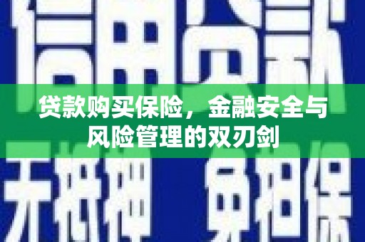 三沙贷款购买保险，金融安全与风险管理的双刃剑