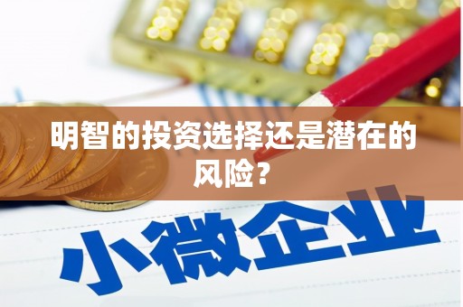 三沙明智的投资选择还是潜在的风险？