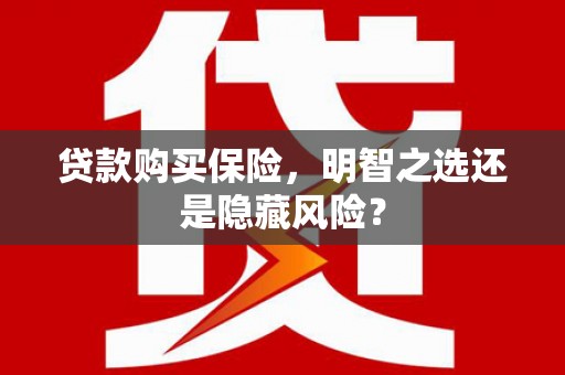 三沙贷款购买保险，明智之选还是隐藏风险？
