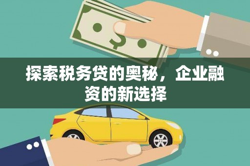 三沙探索税务贷的奥秘，企业融资的新选择