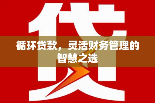 三沙循环贷款，灵活财务管理的智慧之选