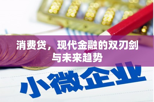 三沙消费贷，现代金融的双刃剑与未来趋势