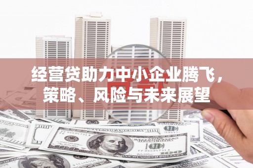 三沙经营贷助力中小企业腾飞，策略、风险与未来展望