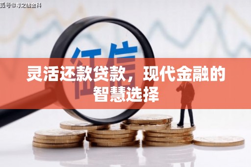 三沙灵活还款贷款，现代金融的智慧选择