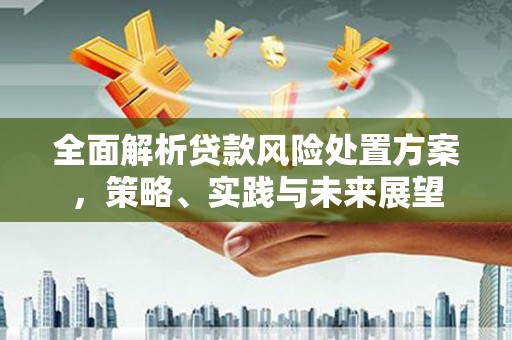 三沙全面解析贷款风险处置方案，策略、实践与未来展望