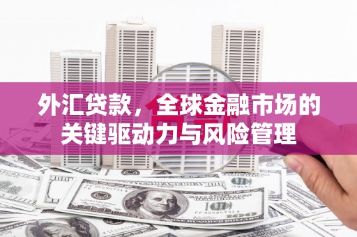 三沙外汇贷款，全球金融市场的关键驱动力与风险管理