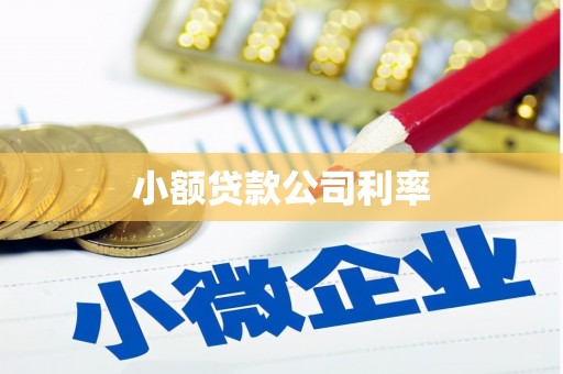 三沙小额贷款公司利率