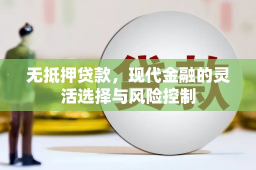 三沙无抵押贷款，现代金融的灵活选择与风险控制