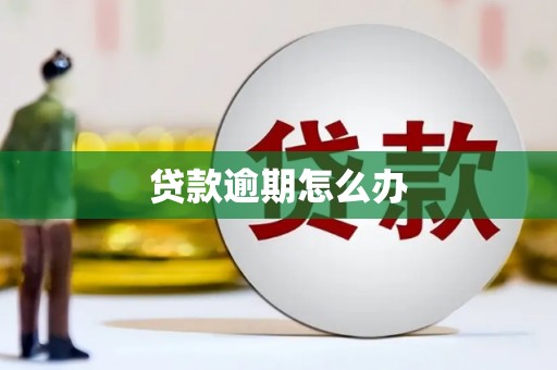 三沙贷款逾期怎么办