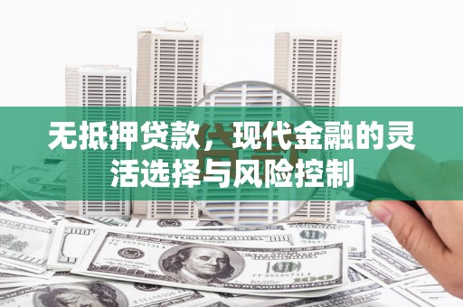 三沙无抵押贷款，现代金融的灵活选择与风险控制