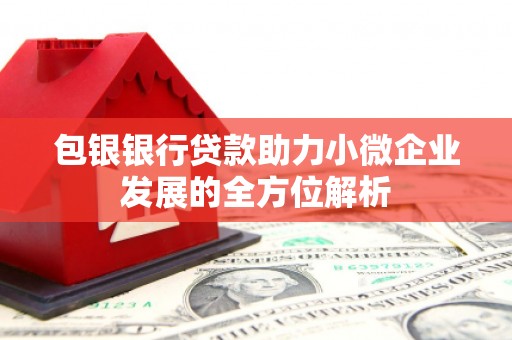 三沙包银银行贷款助力小微企业发展的全方位解析