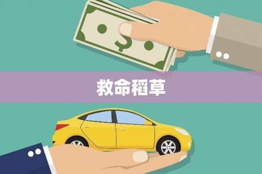 三沙救命稻草