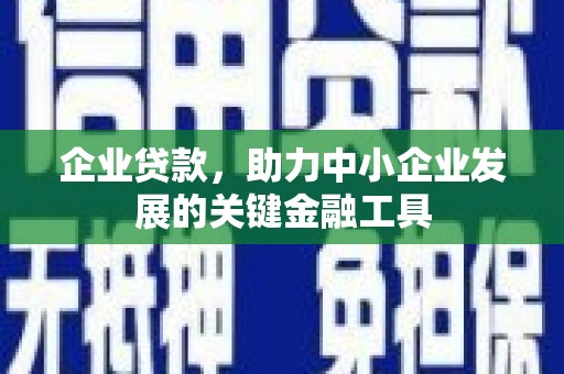 三沙企业贷款，助力中小企业发展的关键金融工具