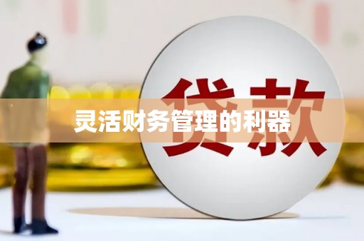 三沙灵活财务管理的利器