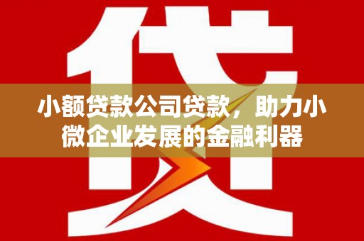 三沙小额贷款公司贷款，助力小微企业发展的金融利器