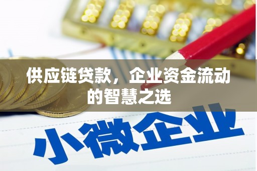 三沙供应链贷款，企业资金流动的智慧之选