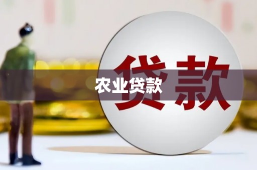 三沙农业贷款