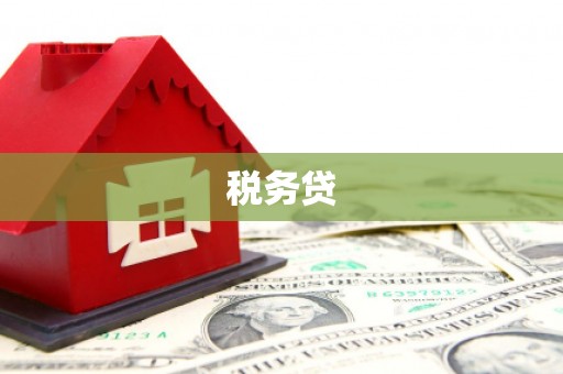 三沙税务贷