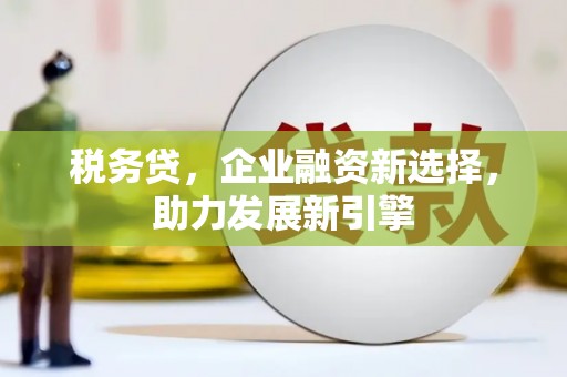 三沙税务贷，企业融资新选择，助力发展新引擎