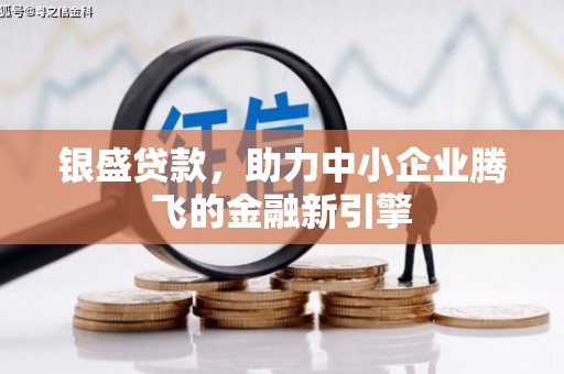 三沙银盛贷款，助力中小企业腾飞的金融新引擎