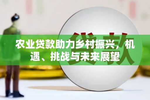 三沙农业贷款助力乡村振兴，机遇、挑战与未来展望