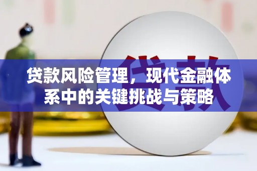 三沙贷款风险管理，现代金融体系中的关键挑战与策略